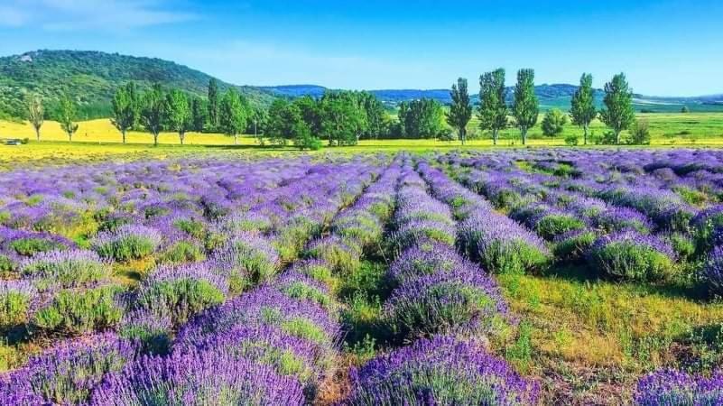 Legkondicionalt, Erkelyes Szoba, Privat Fuerdovel A Balatonon Kőröshegy Bagian luar foto